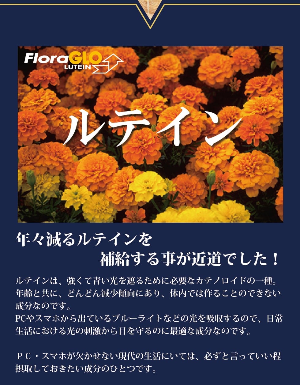 年々減るルテインを補給する事が近道でした！