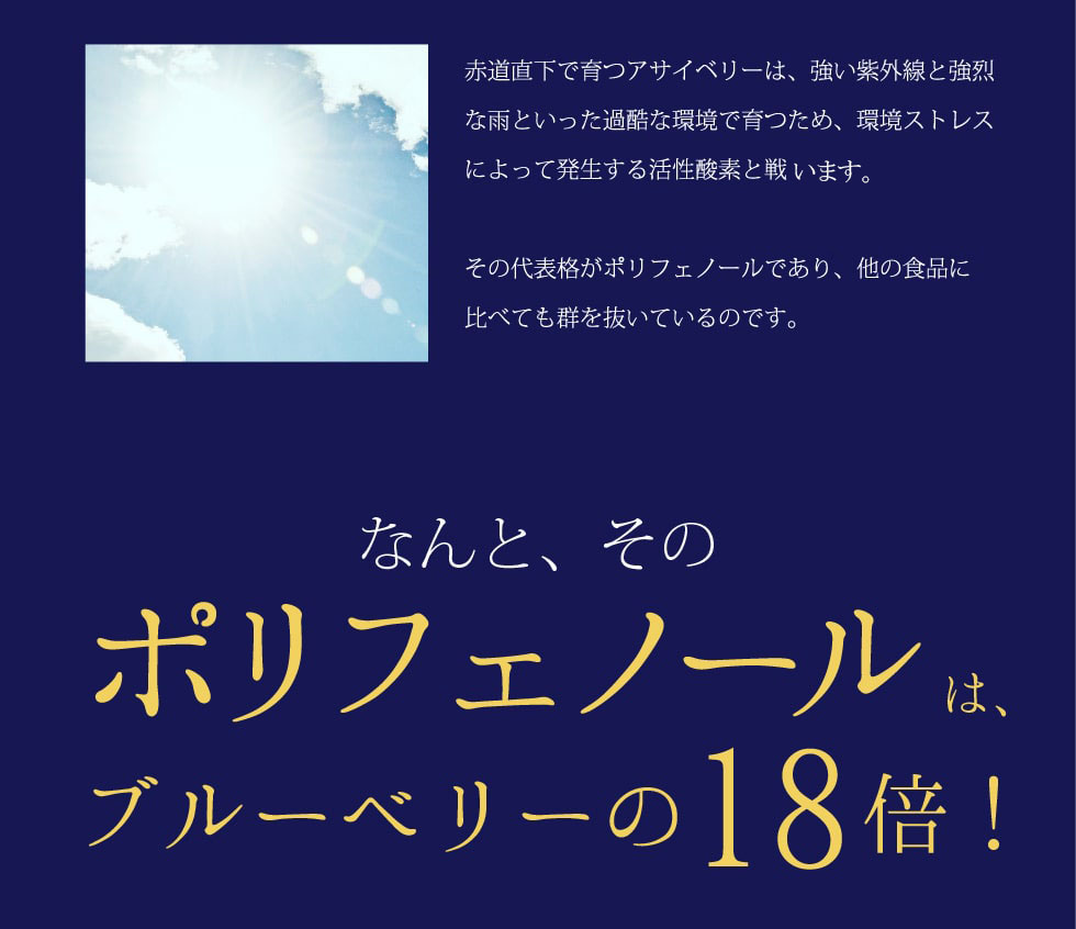 アサイベリーでした