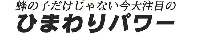 蜂の子はアミノ酸含有量が高く体に吸収され易く内耳の血流を良くし自律神経を整えます。