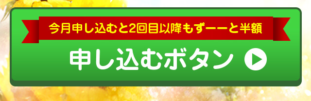 お申し込みボタン