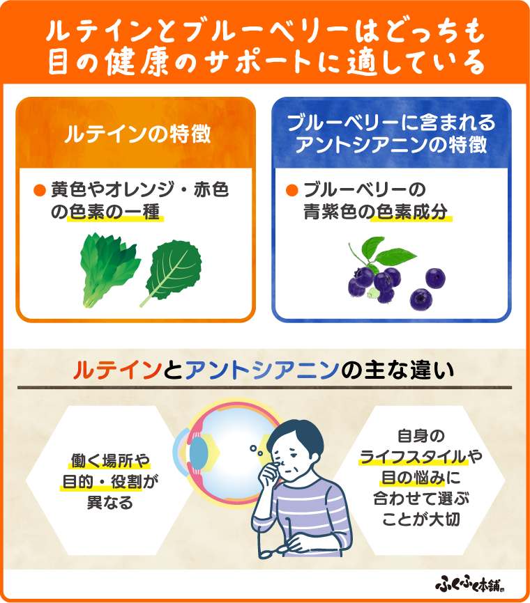 ルテインとブルーベリーはどっちも目の健康のサポートに適している