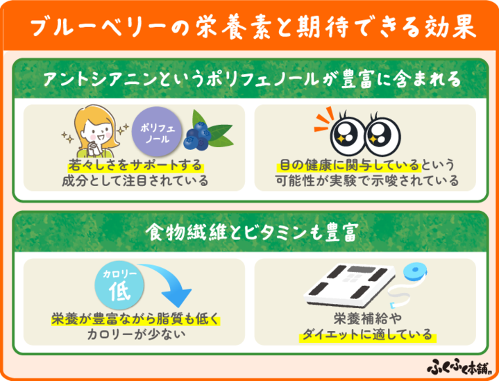 ブルーベリーの栄養素と期待できる効果について紹介