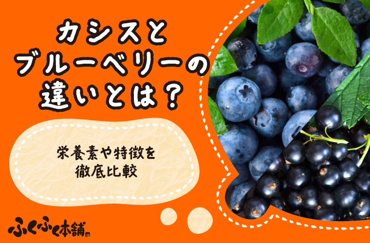 カシスとブルーベリーの違いとは？栄養素や特徴を徹底比較