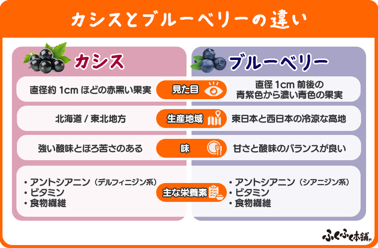 カシスとブルーベリーの違い