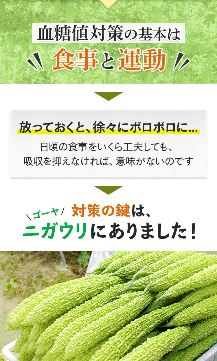 血糖値対策の基本は食事と運動
