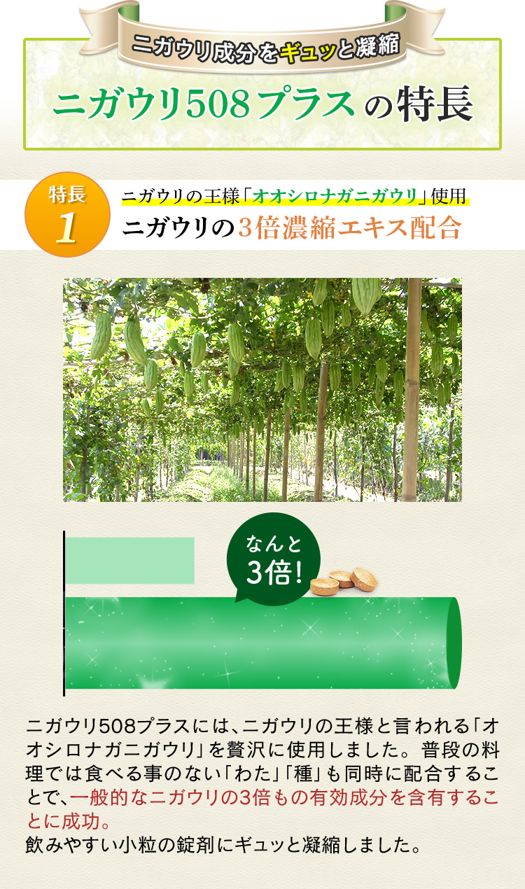ニガウリ成分をギュッと凝縮ニガウリ508プラスの特長