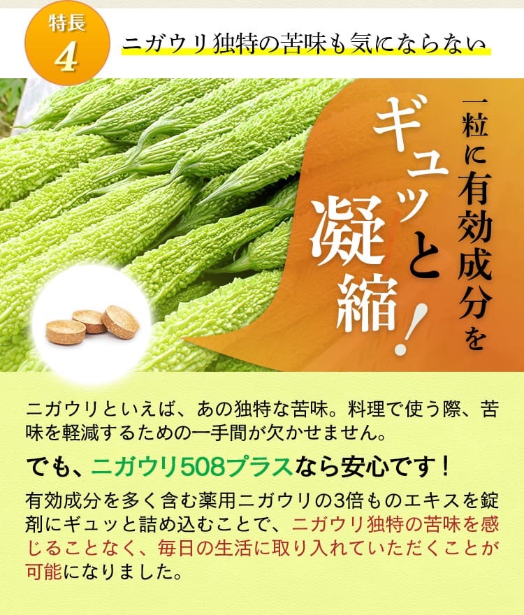 ニガウリ独特の苦味も気にならない